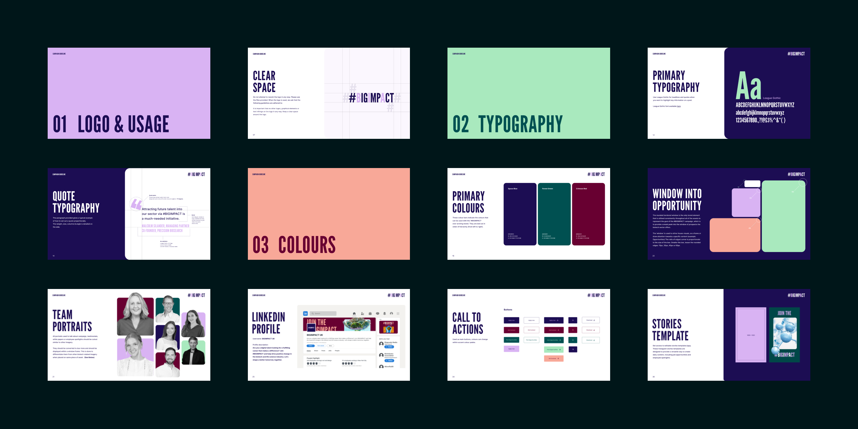 Twelve-page BIA #BIGIMPACT brand guidelines spread covering logo usage, typography, colour, portraits and social templates.
