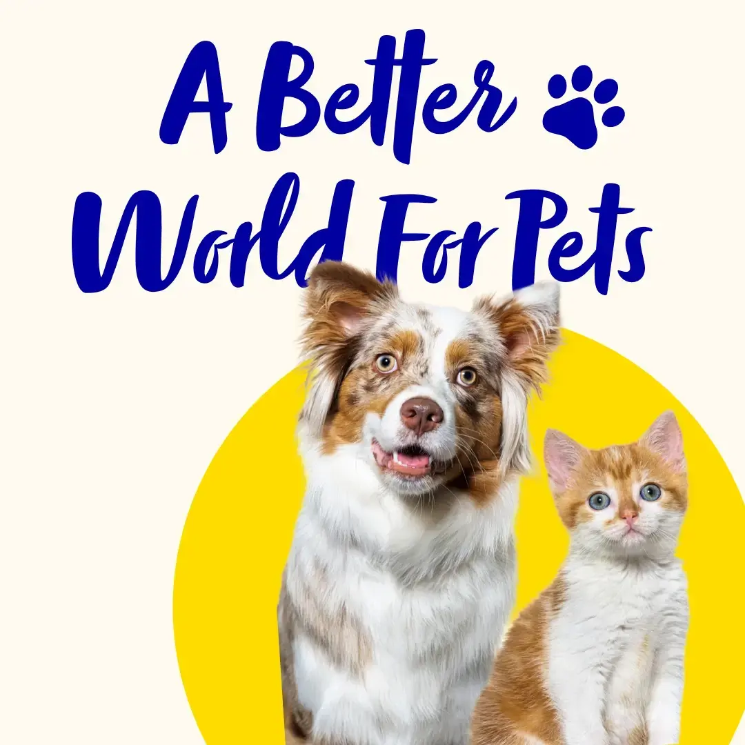 A Better World For Pets, a Mars sub-brand thumbnail.